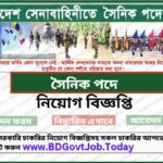 Sainik job circular